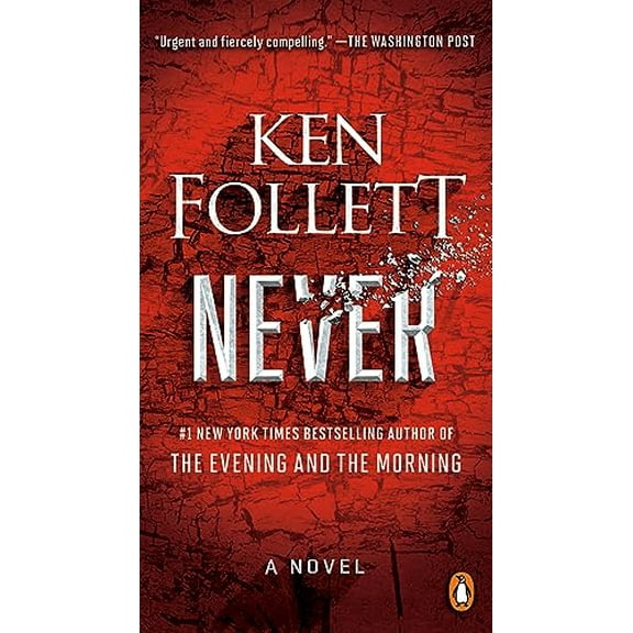 Pre-Owned Never (Paperback) 0593300041 9780593300046