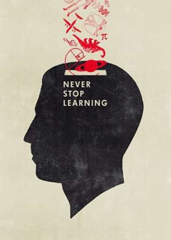 Never Stop Learning Canvas Art - Hannes Beer (20 x 28)