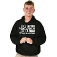 thumbnail image 1 of Never Trust an Atom Science Nerd Geek Unisex Plus Fleece Graphic Hoodie Brisco Brands 2X, 1 of 5