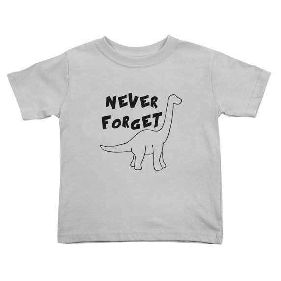 Never forget Dinosaur Cute Toddler T-Shirts for Boys Girls (Gray, 4T)