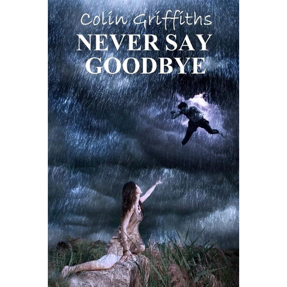Never say goodbye (Paperback)