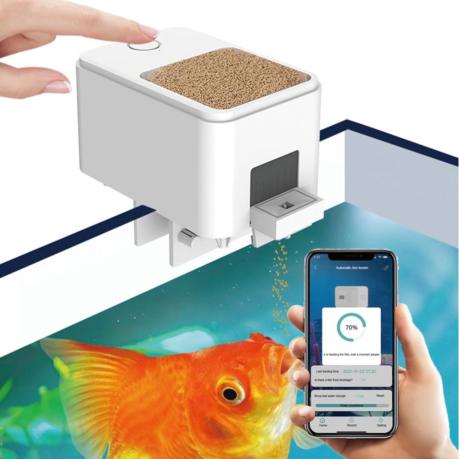 Remote-Controlled Feeding Systems For Queen Pine Turtles