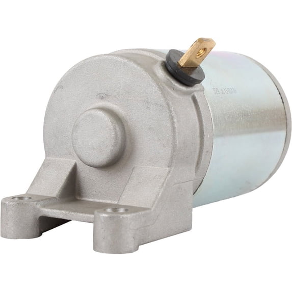 12V Starter Compatible with Can-Am Rally 175 200 Rotax 176cc ATV Aprilia Scarabeo 125 150 200 Scooter 1999-2007 228000-8820 Bombardier 420-296-390 4-Stroke 1-Cyl