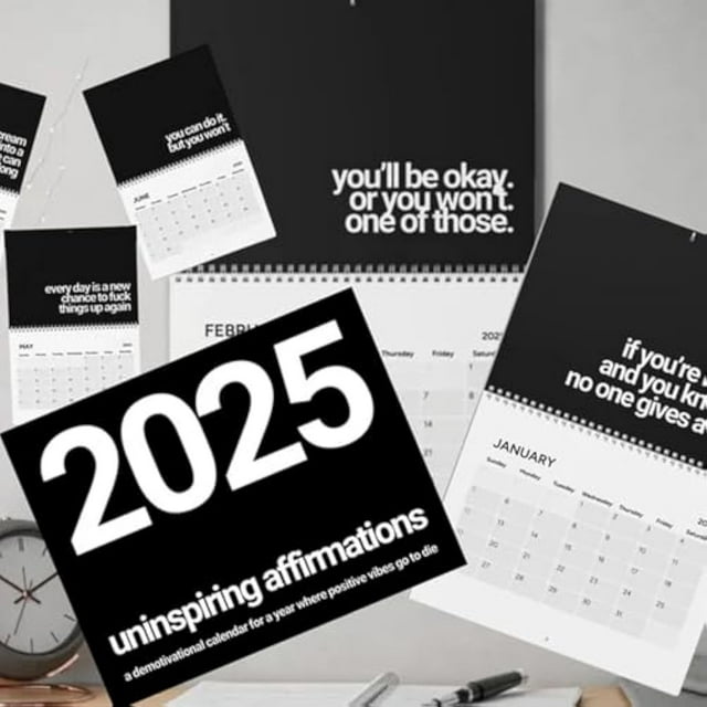 New 2025 Calendar Demotivational Sarcastic Desk Calendar