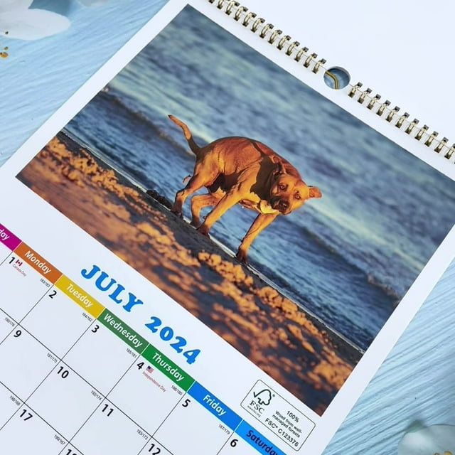 New 2025 Calendars on Clearance 20242025 Dog Poop Wall Calendar