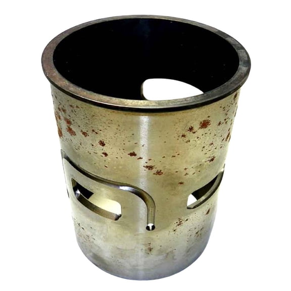 Cylinder Sleeve Compatible with Evinrude BRP E-TEC 60HP 2-Cyl 864cc 2-Stroke DI Flanged 3.800" O.D. 1234FA 51341 2009-2011 E60DPLSCB E60DTLSCS E60DSLSCS E60DPLISM E60DPLISF E60DSLISM