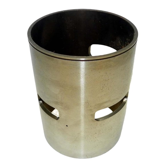 OEM Grade Cylinder Sleeve Compatible with Evinrude E-TEC 60HP In-Line 2-Cyl 864cc Straight 3.800" O.D. 2-Stroke 2007-2007 E60DTLSCS E60DPLSCB E60DSLSCS Standard Replaces 1231SA 51305