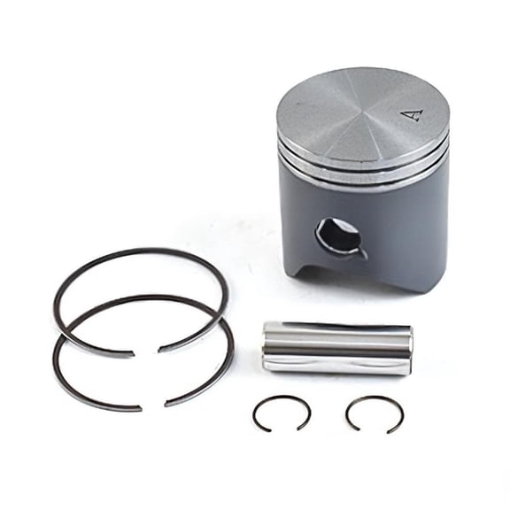 New Piston Kit 53.95mm Compatible with KTM 125 SX 2007-2025 Husqvarna TC 125 2014-2024 Gas Gas MC 125 2021-2025 125cc 2-Stroke Liquid-Cooled Off-Road Grade B 50330207000II