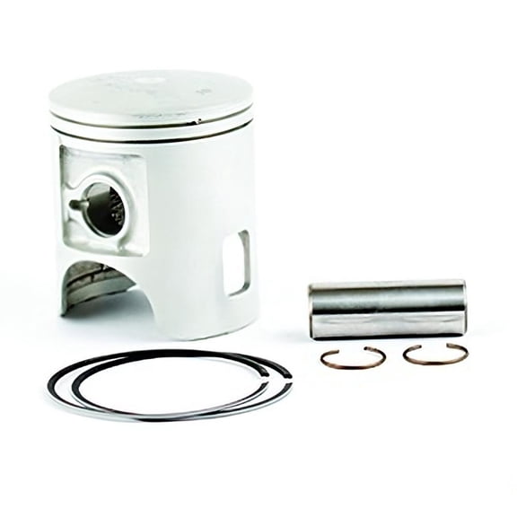 OEM Grade Piston Kit 1.0mm Oversize 67mm Compatible with Honda TRX250R FourTrax 250R 1987-1989 246cc Liquid-Cooled 2-Stroke Single-Cylinder Sport ATV Off-Road Quad Top End Rebuild