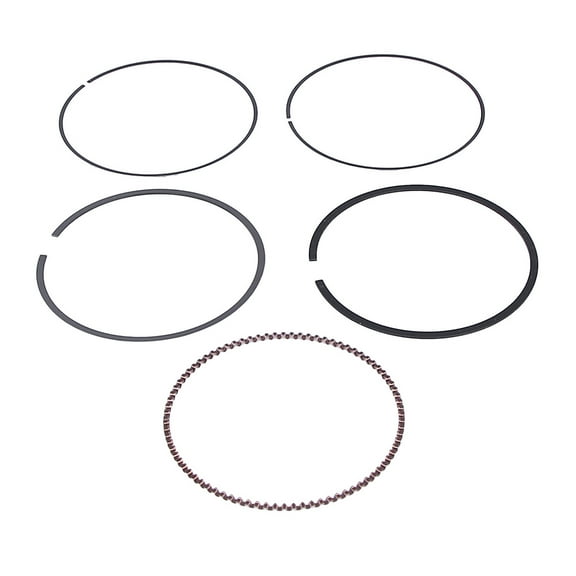 Piston Rebuild Kit 69mm Compatible with Kawasaki Bayou 250 KLF250A 2003-2011 228cc 4-Stroke OHV Single-Cyl ATV Top End Ring Pin Clip Gasket Bearing Set
