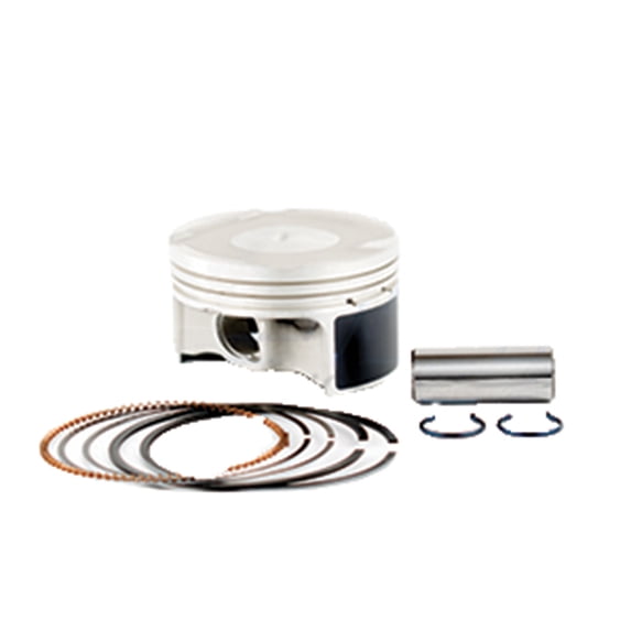 75mm Oversize Piston Kit Compatible with 2017-2022 GTI 90 SE HO STD 2017-2018 GTS STDR HO 900cc ACE Rotax 4-Stroke Platinum 420892821