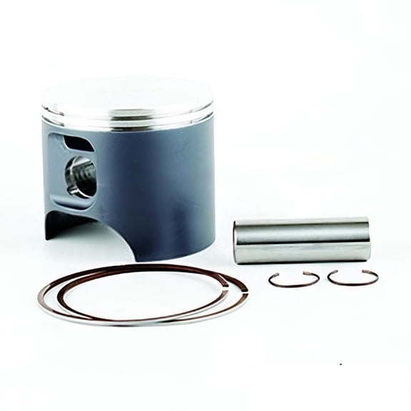 OEM Grade Piston Kit Standard Bore 81.00mm Compatible with 1996-2004 Polaris 700CC Hurricane SL SLT SLH Virage Freedom 1050CC SLTX SLX 2-Stroke PWC 2200883 2201626