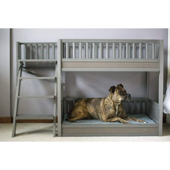 New Age Pet ECOFLEX Aspen Dog Bunk Bed in Grey, Two Memory Foam Cushions