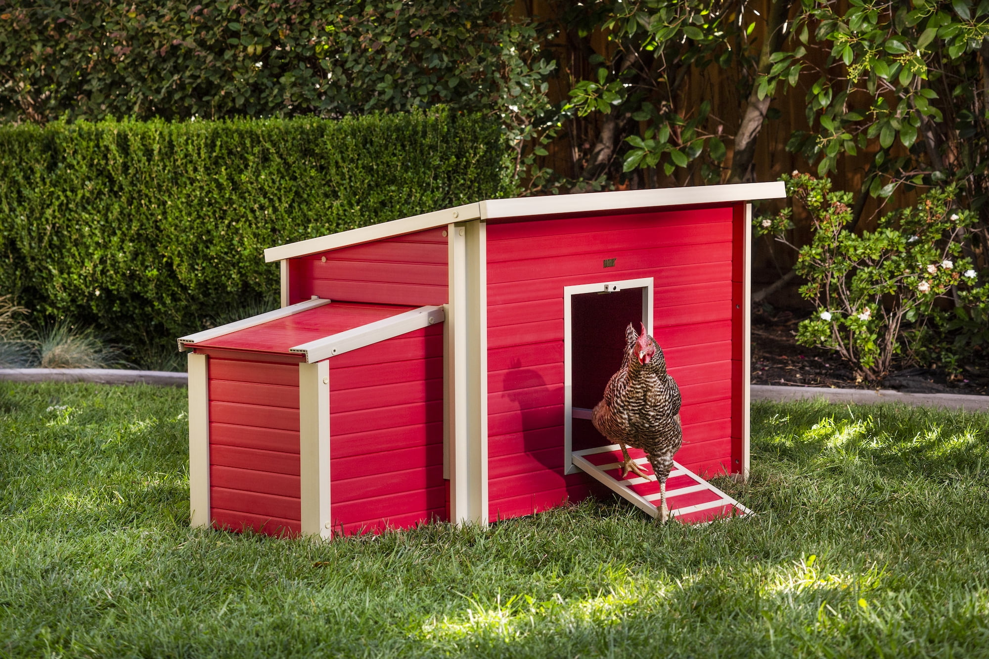 Red Eco-Friendly Composite Chicken Barn with Nesting Box
