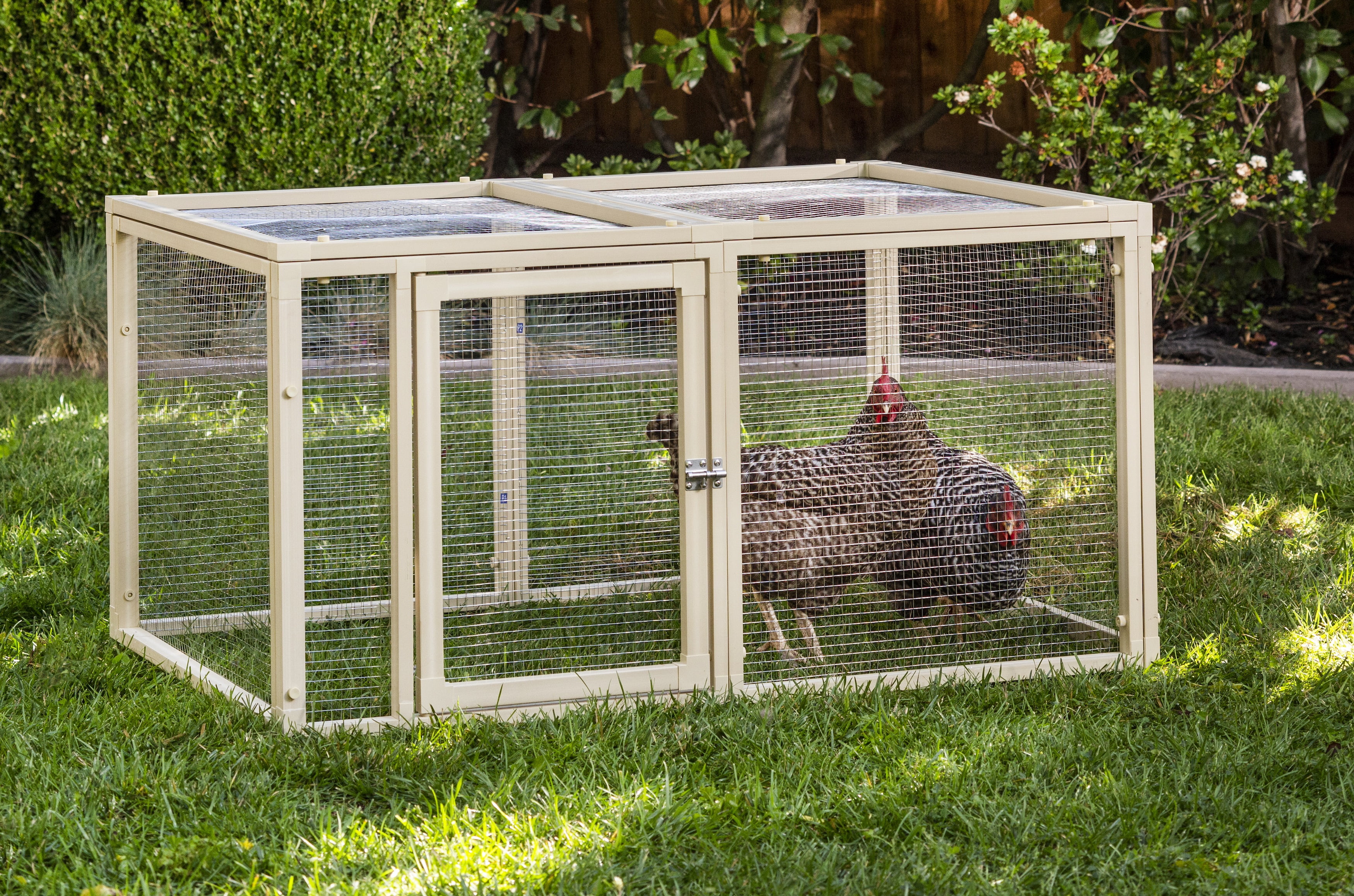 Jumbo Off-White ECOFLEX Chicken Pen with Stainless Steel Wire