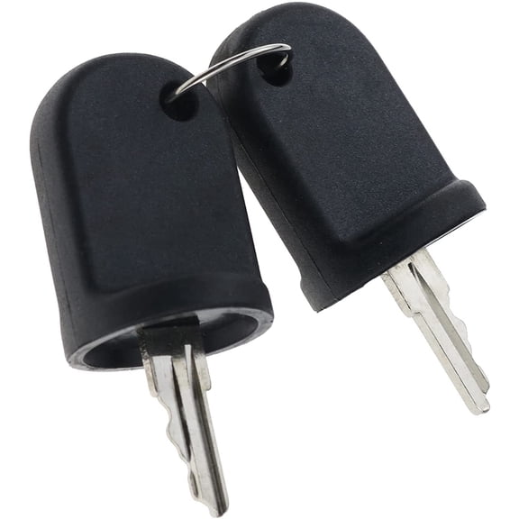 New Arrivals 2PCS Ignition Switch Keys Compatible for RXV G&E 611282 605946