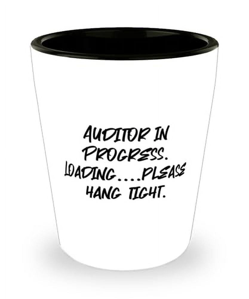 Funny Auditor Office Gift - Swear Word Desk Sign For Accountants, Colleague Gags, Humorous Desk Decoration