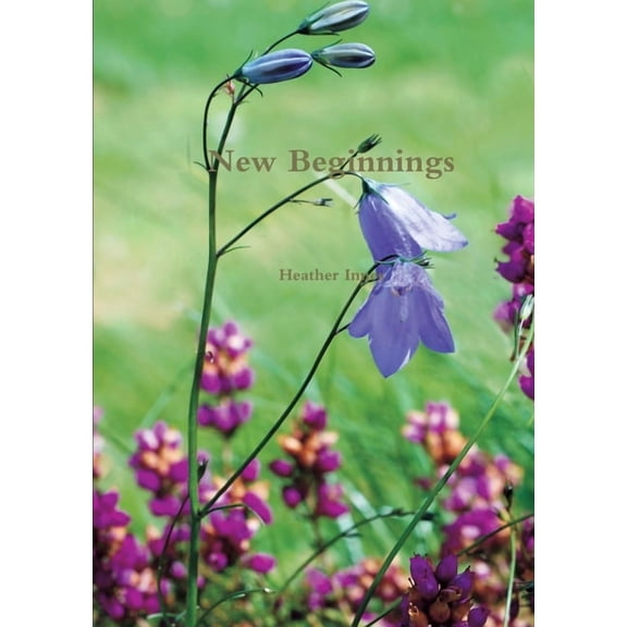 New Beginnings, (Paperback)