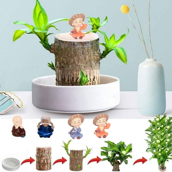 New Brazilian lucky wood green plant, with a ceramic tray and doll, hydroponic stump purifying indoor air, suitable for home office desk decoration and as a gift. (1pc)