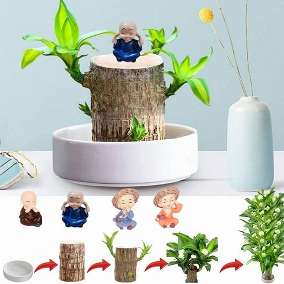 New Brazilian lucky wood green plant, with a ceramic tray and doll, hydroponic stump purifying indoor air, suitable for home office desk decoration and as a gift. (1pc)