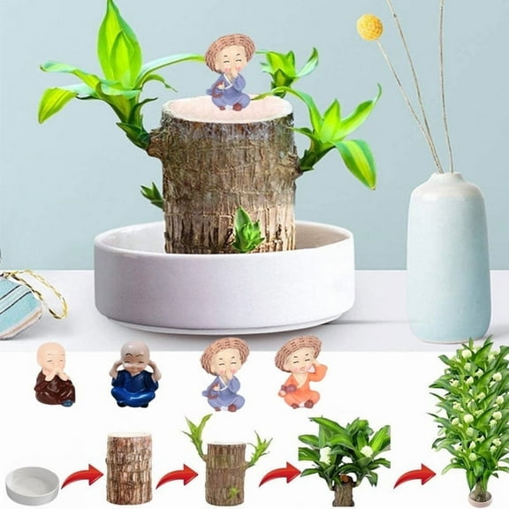 New Brazilian lucky wood green plant, with a ceramic tray and doll, hydroponic stump purifying indoor air, suitable for home office desk decoration and as a gift. (1pc)