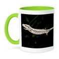 thumbnail image 1 of 3dRose, New Caledonia Gargoyle Gecko lizard New Caledonia - NA02 DNO0892 - David Northcott, 11oz Two-Tone Green Mug, 1 of 3