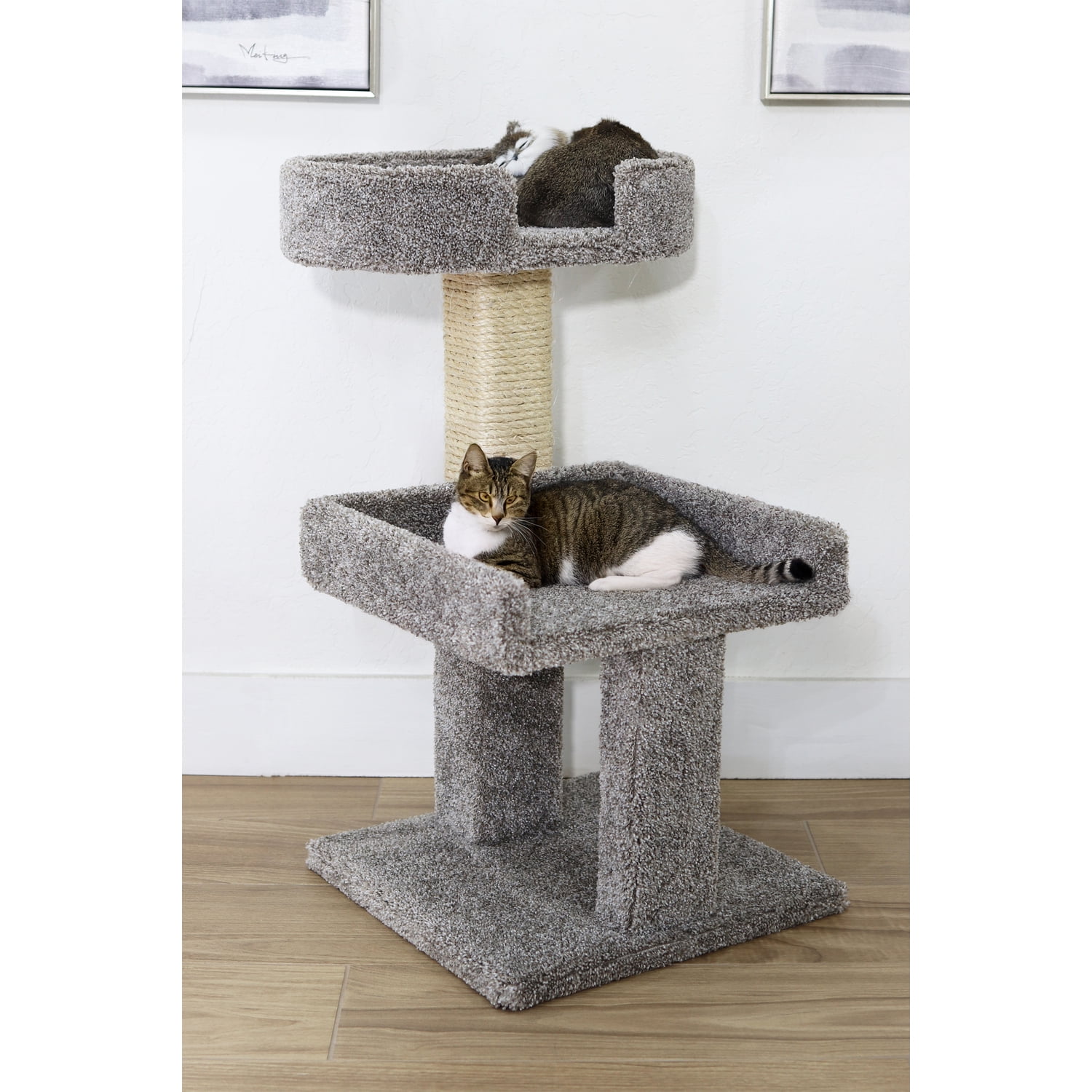New Cat Condos Carpeted Cat Perch for Big Cats