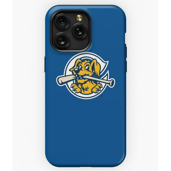 New Charleston RiverDogs Minor League Baseball A12809 Phone Case for iPhone 11 to 17 Pro Max