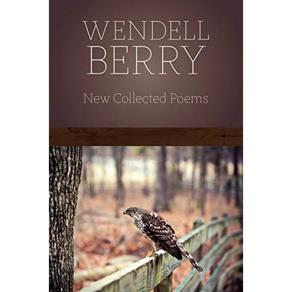 Pre-Owned New Collected Poems (Paperback) 9781619021525