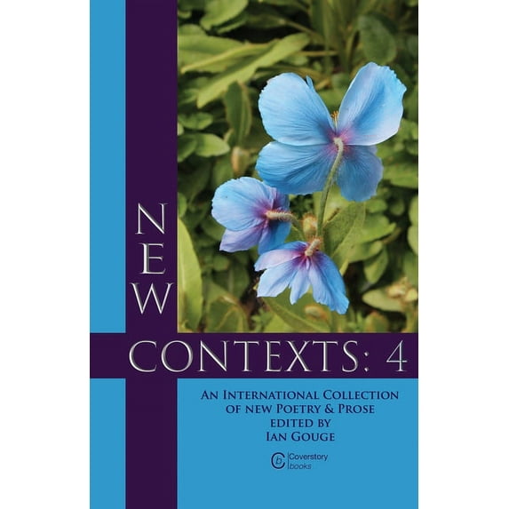 New Contexts: 4, (Paperback)
