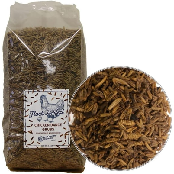 New Country Organics | Flock Perfect Chicken Dance Grubs for Chickens | 3.5 lbs