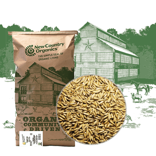 New Country Organics | Organic Oats | Certified Organic and Non-GMO | Feed Grade | 40 lbs