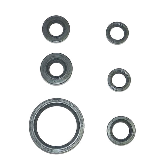 OEM Grade Crankshaft End Seal Kit Compatible with 1997-1998 Tigershark 1000 Daytona Monte Carlo TS-L TS-R 999cc 3-Cylinder 2-Stroke PWC Personal Watercraft Engine Seals High-Quality