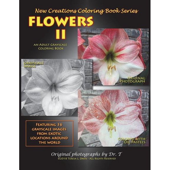New Creations Coloring Book New Creations Coloring Book Series: Flowers II, (Paperback)