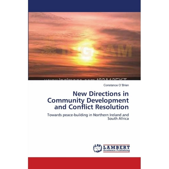 New Directions in Community Development and Conflict Resolution (Paperback)