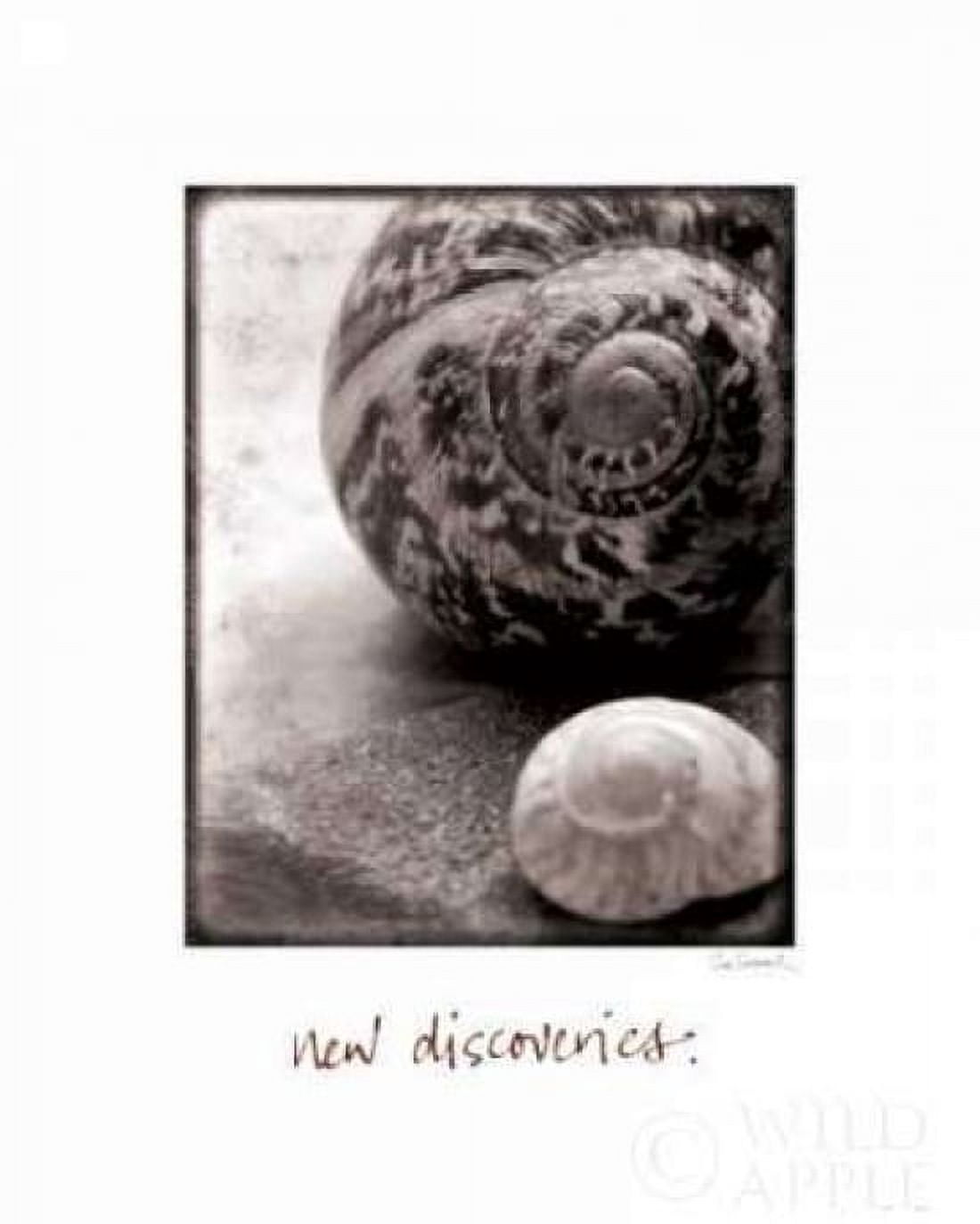 New Discoveries Canvas Art - Sue Schlabach (20 x 24)