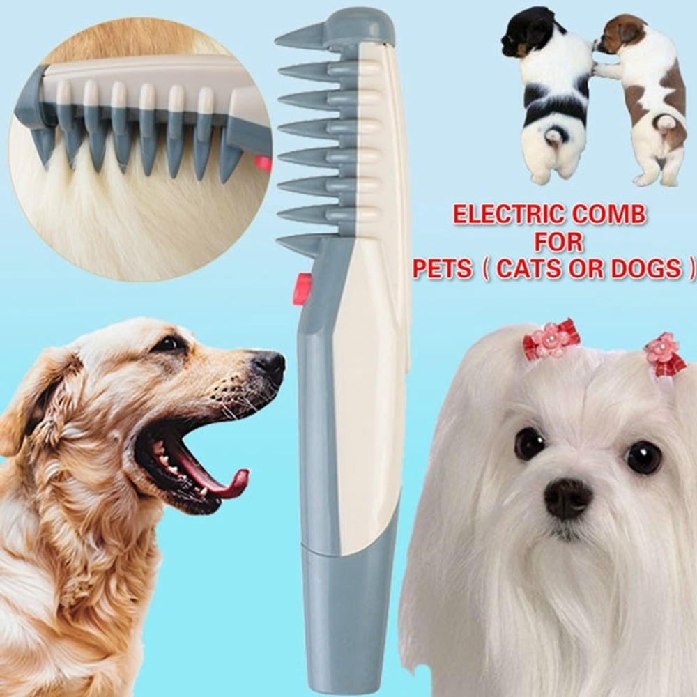 Electric dog outlet comb