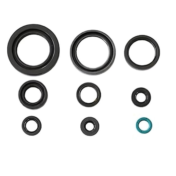 New Engine Oil Seal Kit Compatible With Honda TRX-ER 450cc TRX-R 450cc Engine By P400210400197