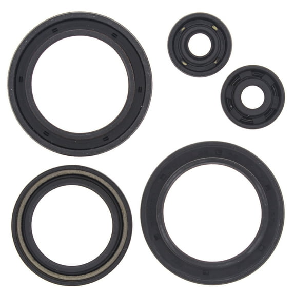 New Engine Oil Seal Kit Compatible with Polaris Scrambler 400 2x4 400cc 2000 2001 2002