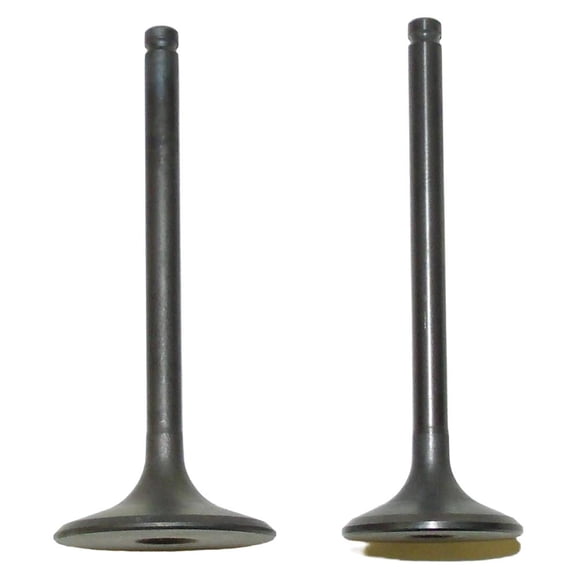 Valve Kit Compatible with 1995-2003 Honda TRX 400FW Foreman 4x4 395cc Air Cooled 4-Stroke SOHC Intake Exhaust Valve Replacement Engine 14711-HM7-000 14721-HM7-000