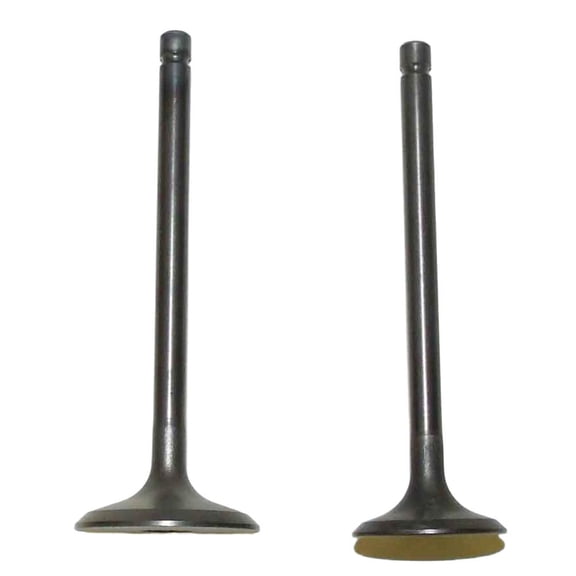 New Engine Valve Kit Compatible With Yamaha Big Bear 250cc YFM 200cc YTM 200cc Timberwolf 250cc YFM 225cc YFM 250cc YTM 225cc Bruin 250cc 200-250cc Engines By 017-301