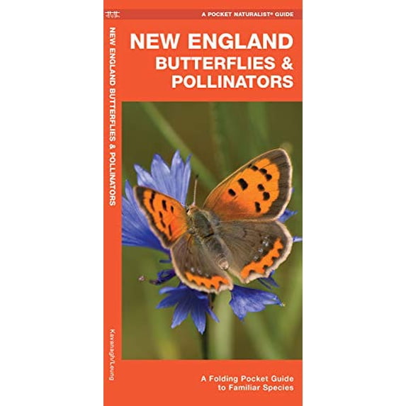 Pre-Owned New England Butterflies & Pollinators: A Folding Pocket Guide to Familiar Species Paperback