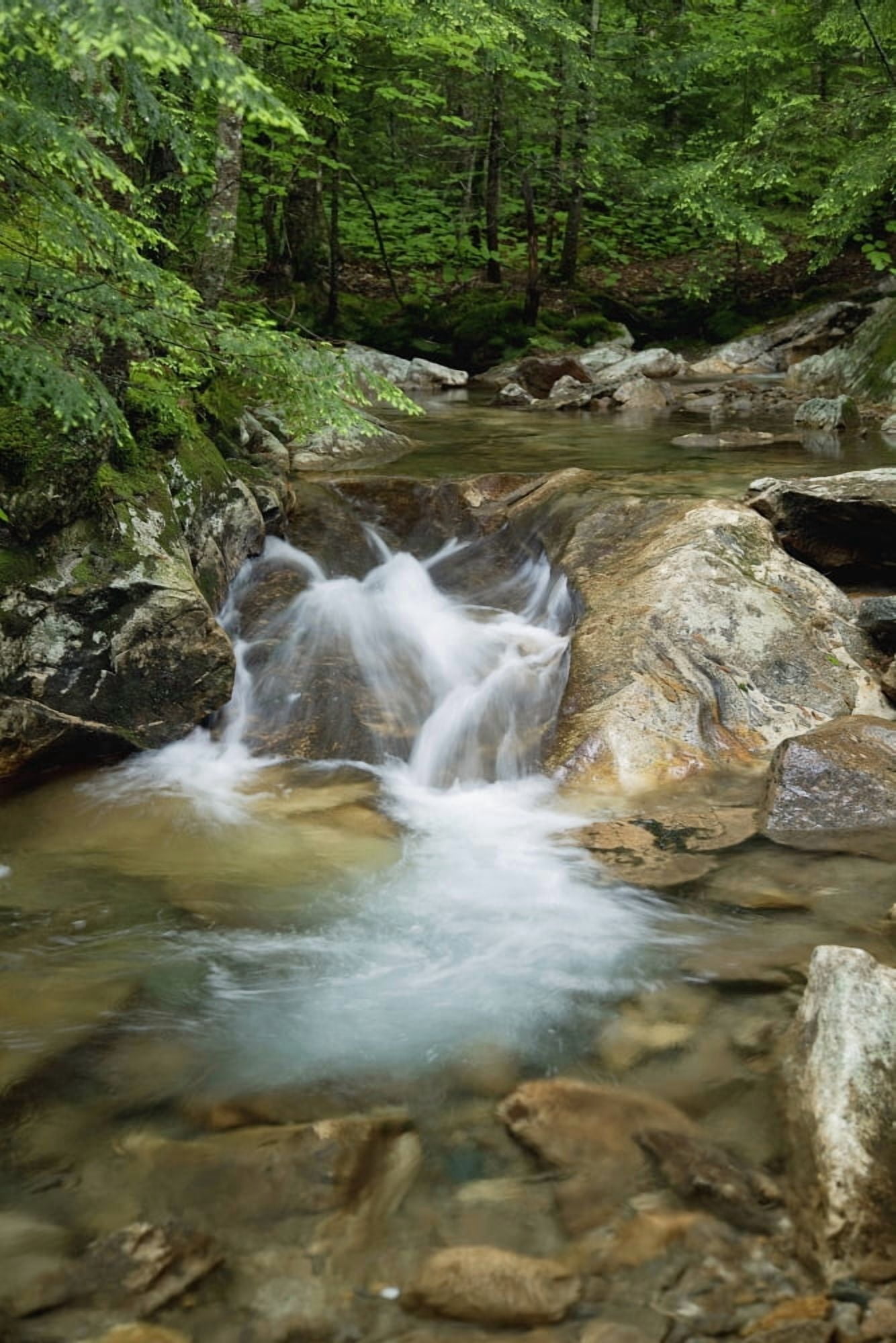 New England New Hampshire White Mountains A rocky riverbed and waterfall Canvas Art - Jenna Szerlag Design Pics (12 x 19)