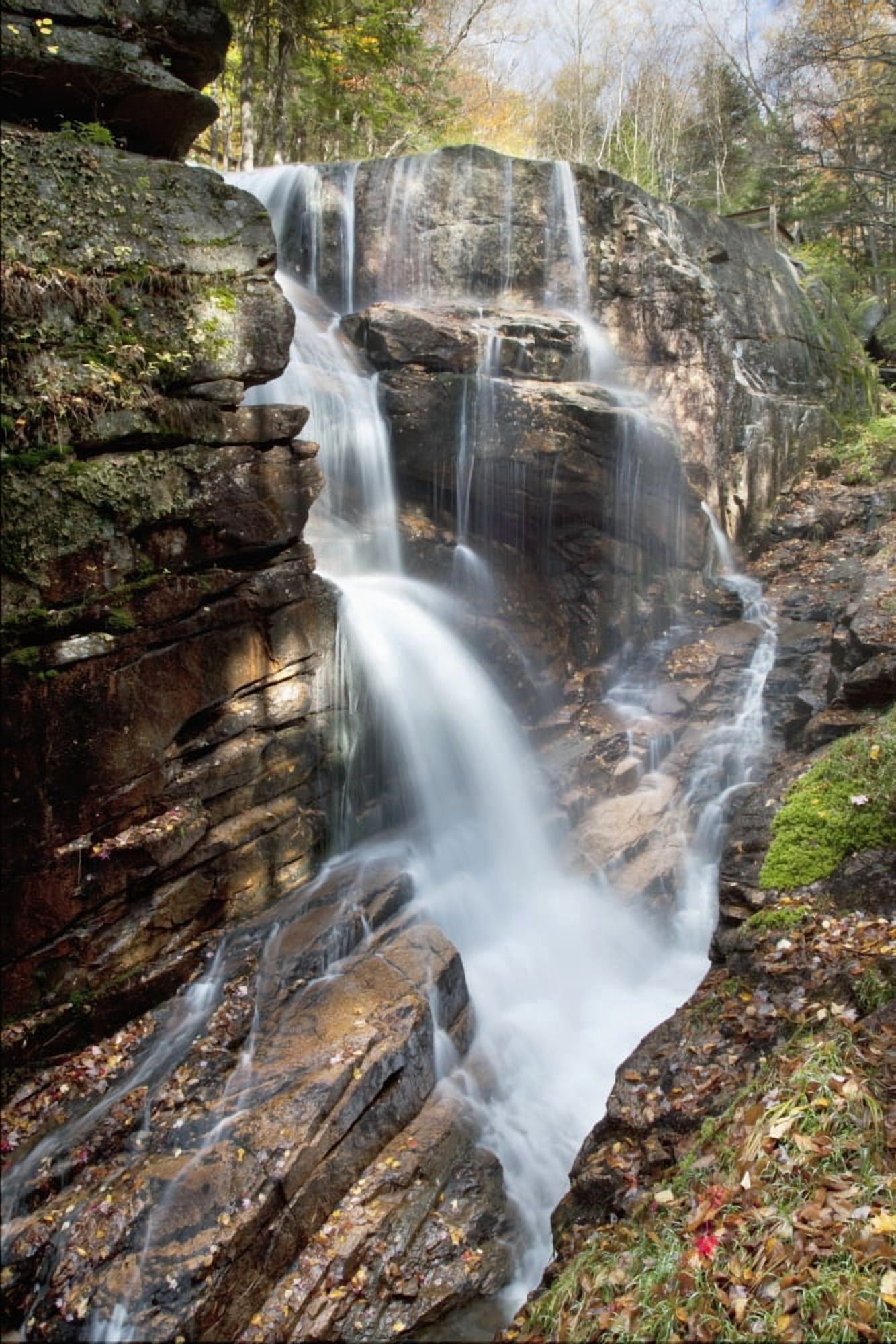 New England New Hampshire White Mountains Sabbaday Falls A forest waterfall Canvas Art - Jenna Szerlag Design Pics (24 x 38)