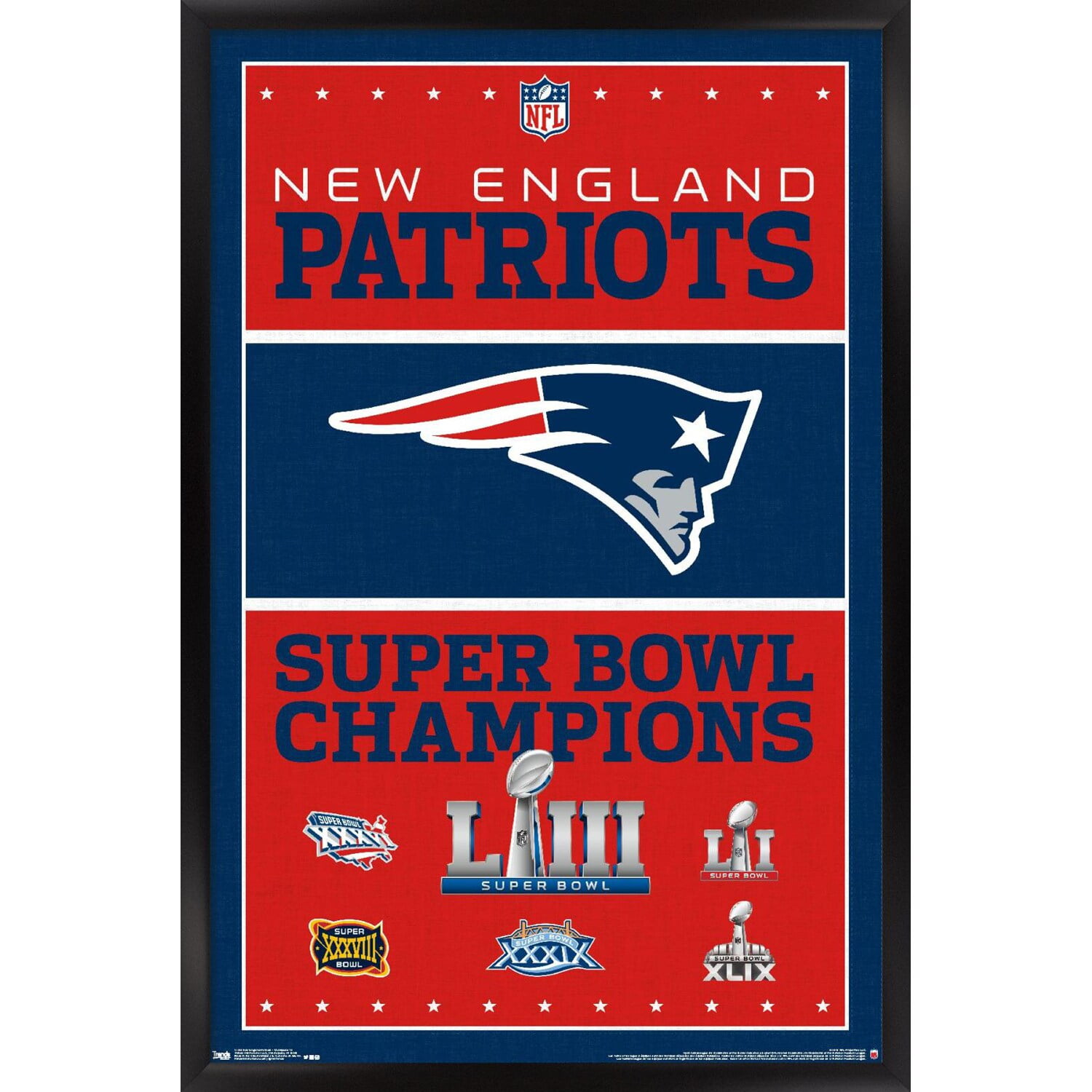 New England Patriots Super Bowl 51 Championship Poster, New