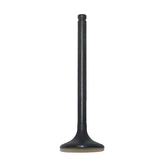OEM Grade Exhaust Valve Compatible with 1997-2001 Honda TRX 250 Recon 229cc Air Cooled 4-Stroke OHV Single Cylinder 14721-HM8-000 Required Fitment