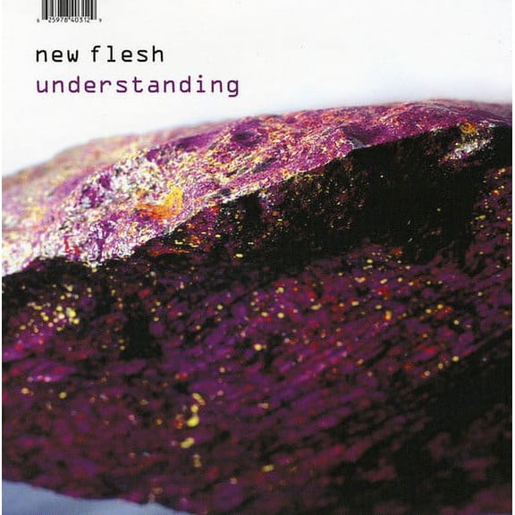 New Flesh - Understanding - Rap / Hip-Hop - CD