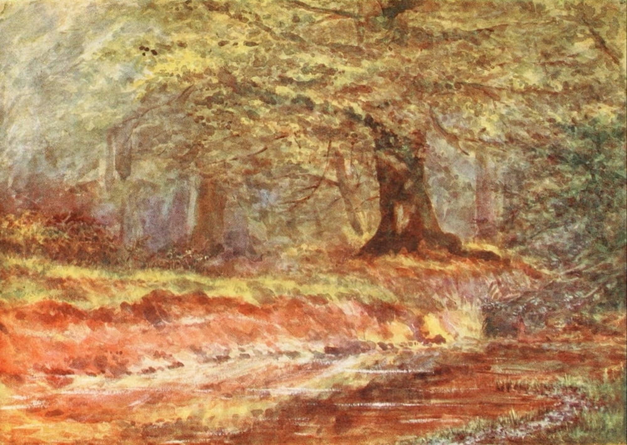 New Forest 1904 In the Queens Bower Canvas Art - Alice Julia Willingham Rawnsley (24 x 36)