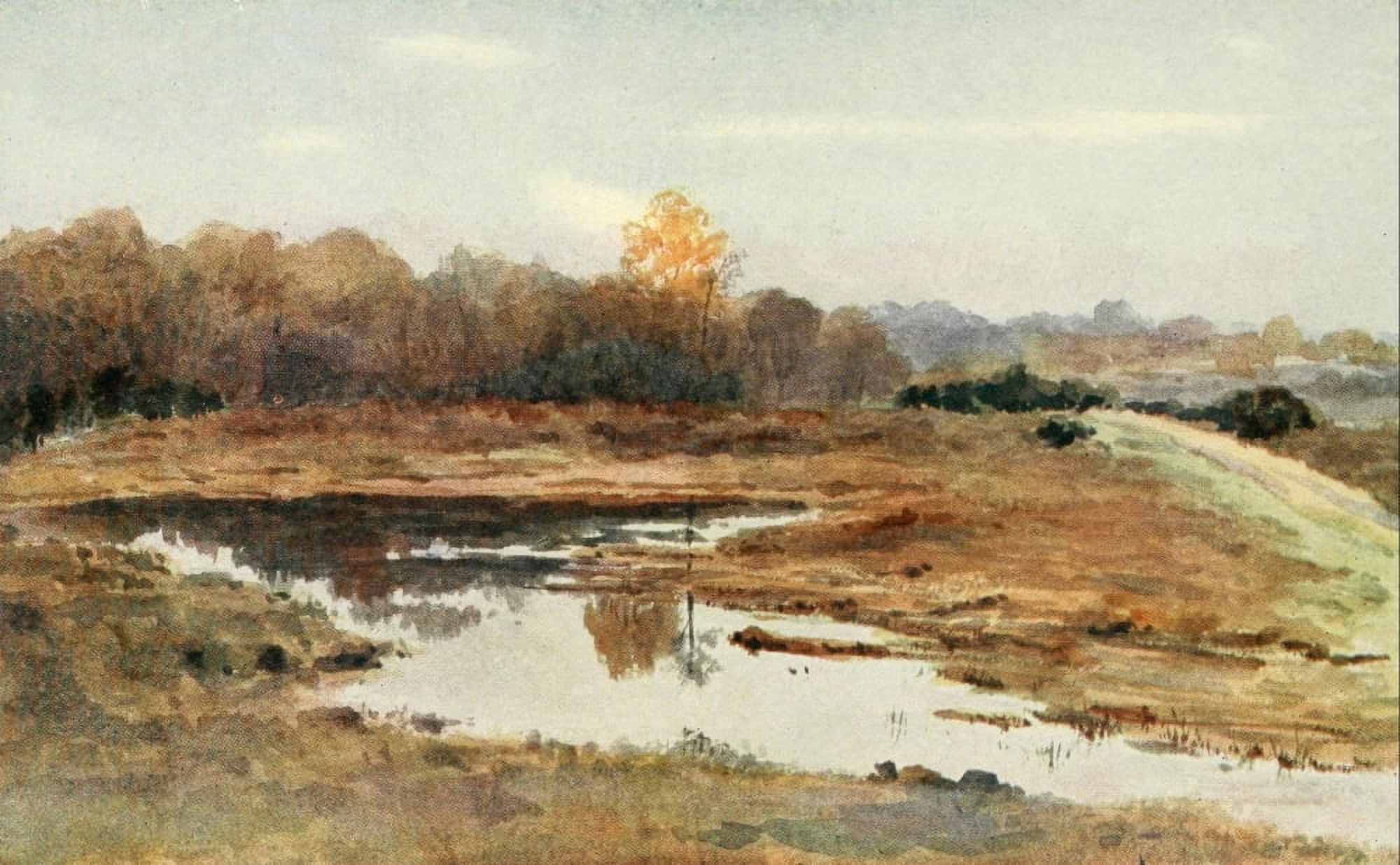 New Forest 1904 On the Beaulieu Road Hampshire Canvas Art - Alice Julia Willingham Rawnsley (18 x 24)