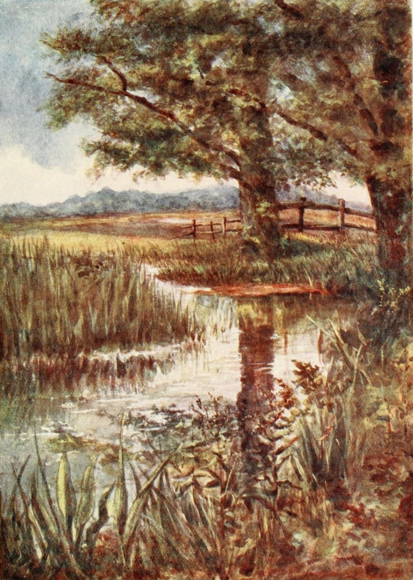 New Forest 1904 Pond at Park Hill Canvas Art - Alice JW Rawnsley (24 x 36)